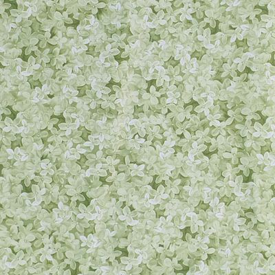 Verde hojas Sweet Blush Rosa