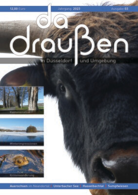 da draußen | Ausgabe 03