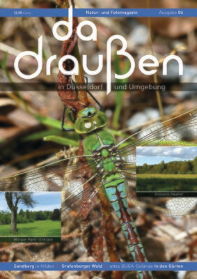 da draußen | Ausgabe 04