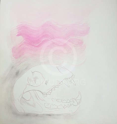 Skull Study 1 -SOLD