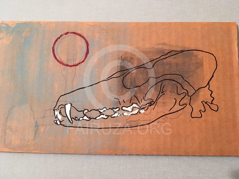 Coyote Skull - SOLD