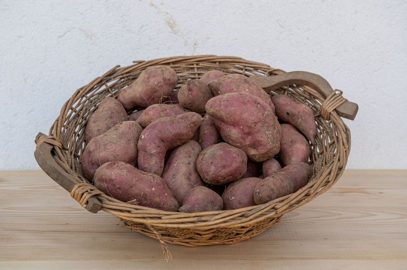 Consorzio della Patata dolce di Caraglio