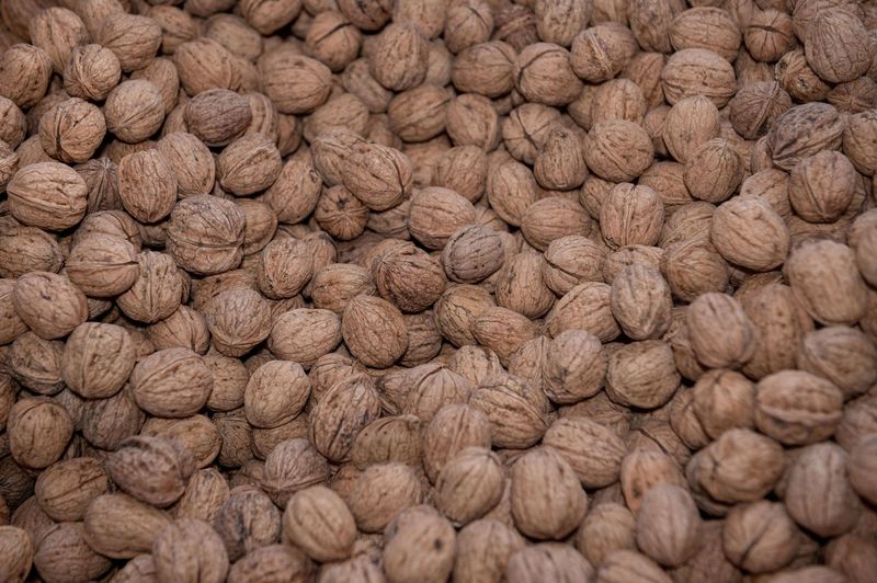 Consorzio frutta a guscio del Piemonte