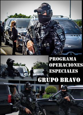 Programa de Operaciones Especiales , Grupo Bravo