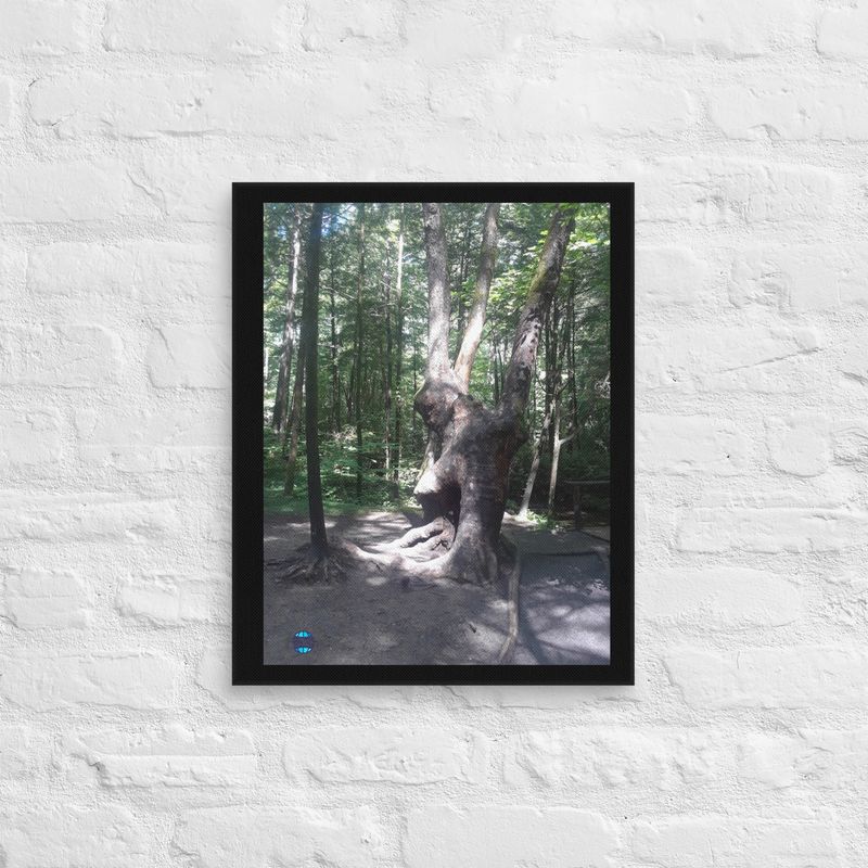 Forest Canvas Wall Art 1