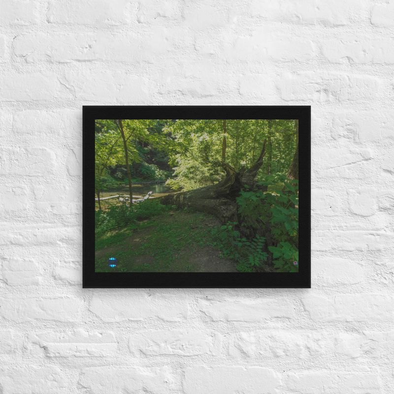 Forest Canvas Wall Art 11