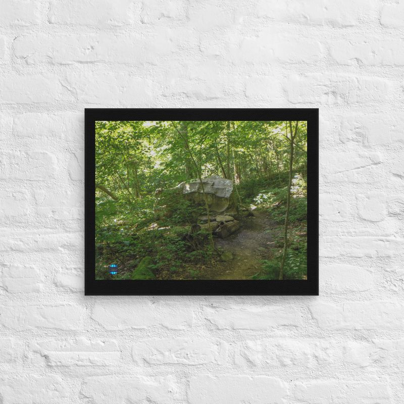 Forest Canvas Wall Art 6