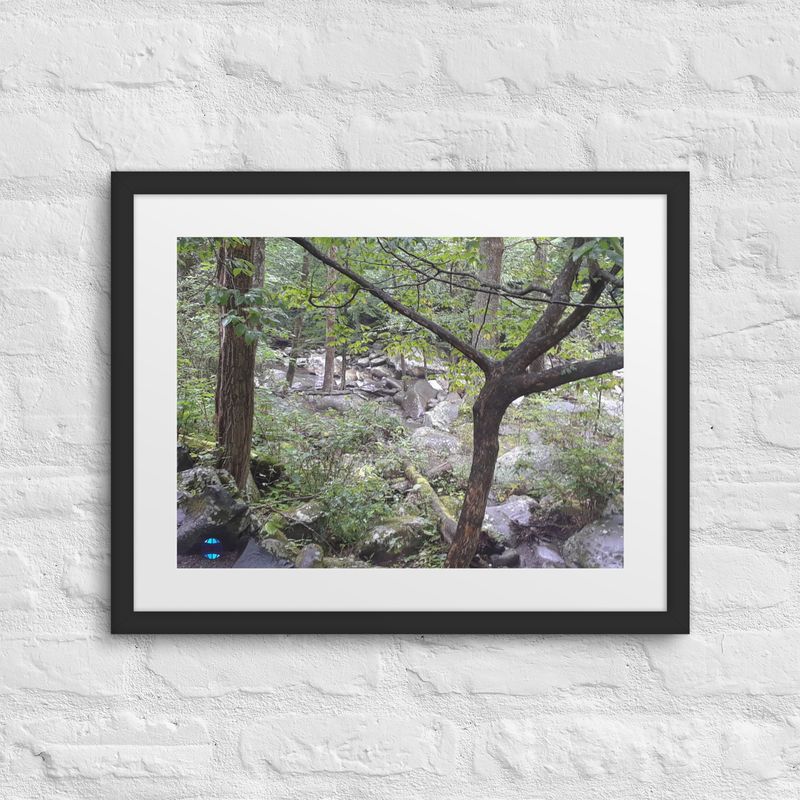 Forest Framed Picture 3