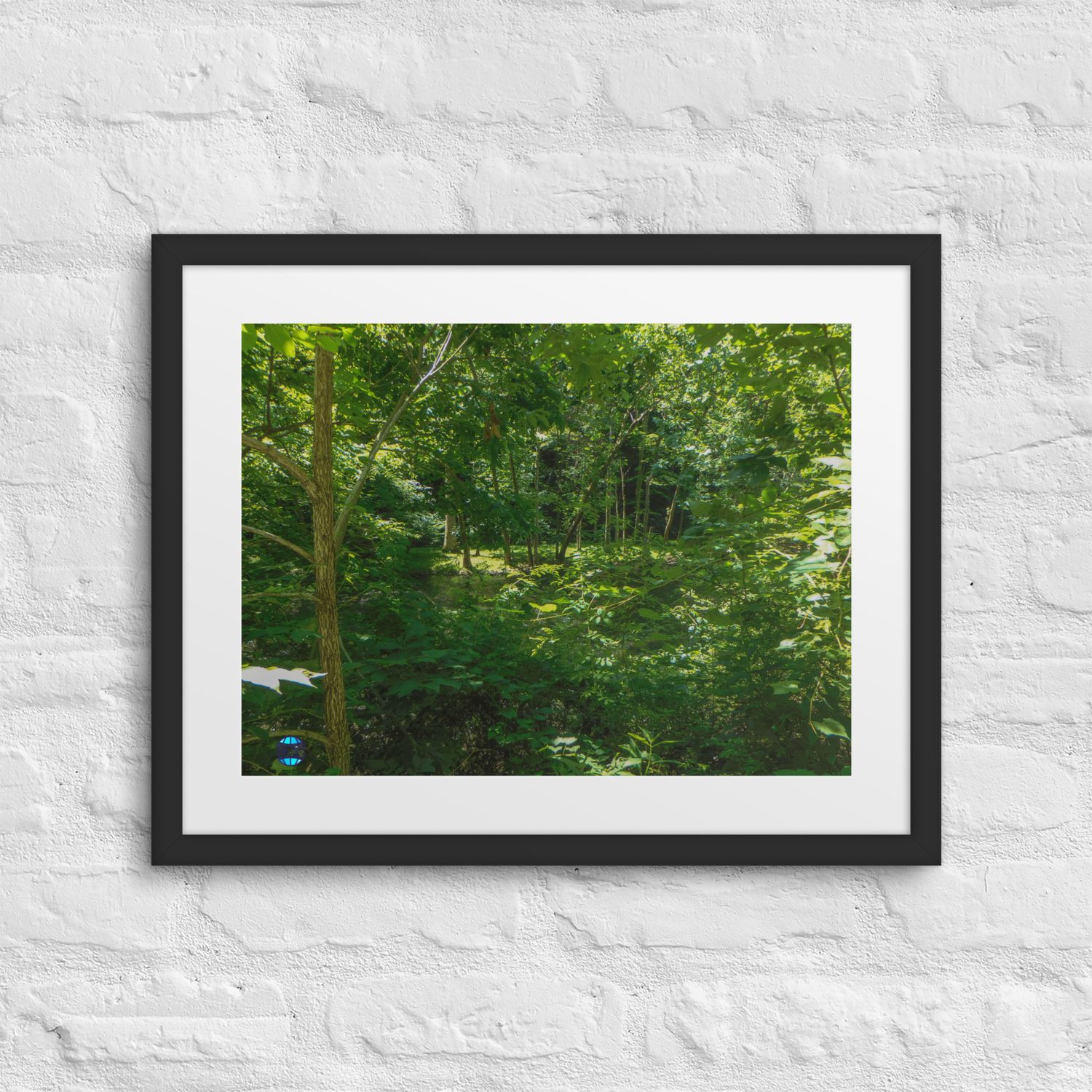 Forest Framed Picture 10