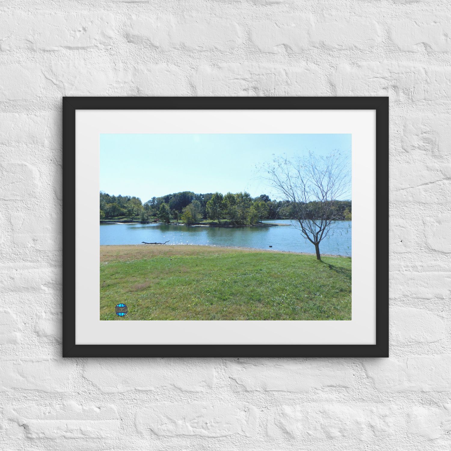 Lake Framed Picture 6