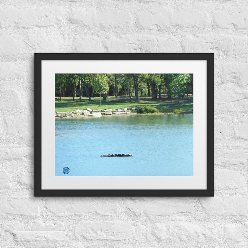 Lake Framed Picture 7