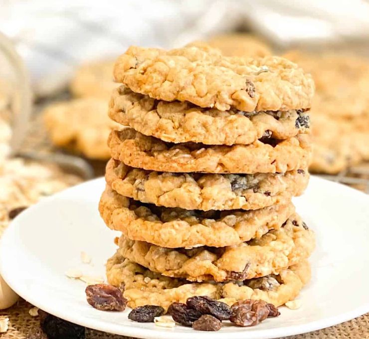 6 x Gourmet Oatmeal Raisin Cookies