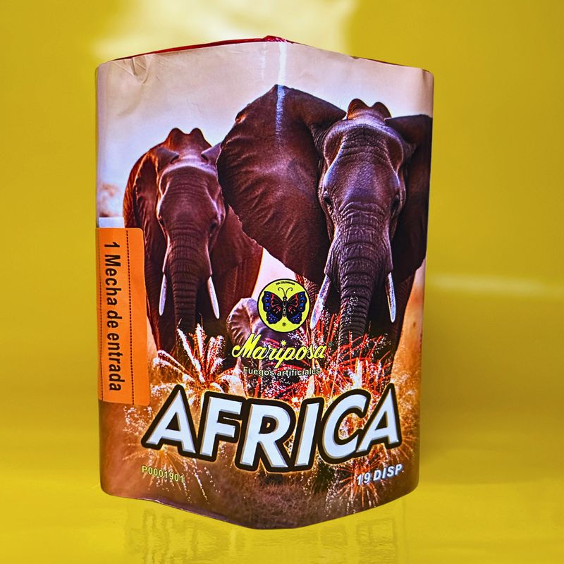 AFRICA