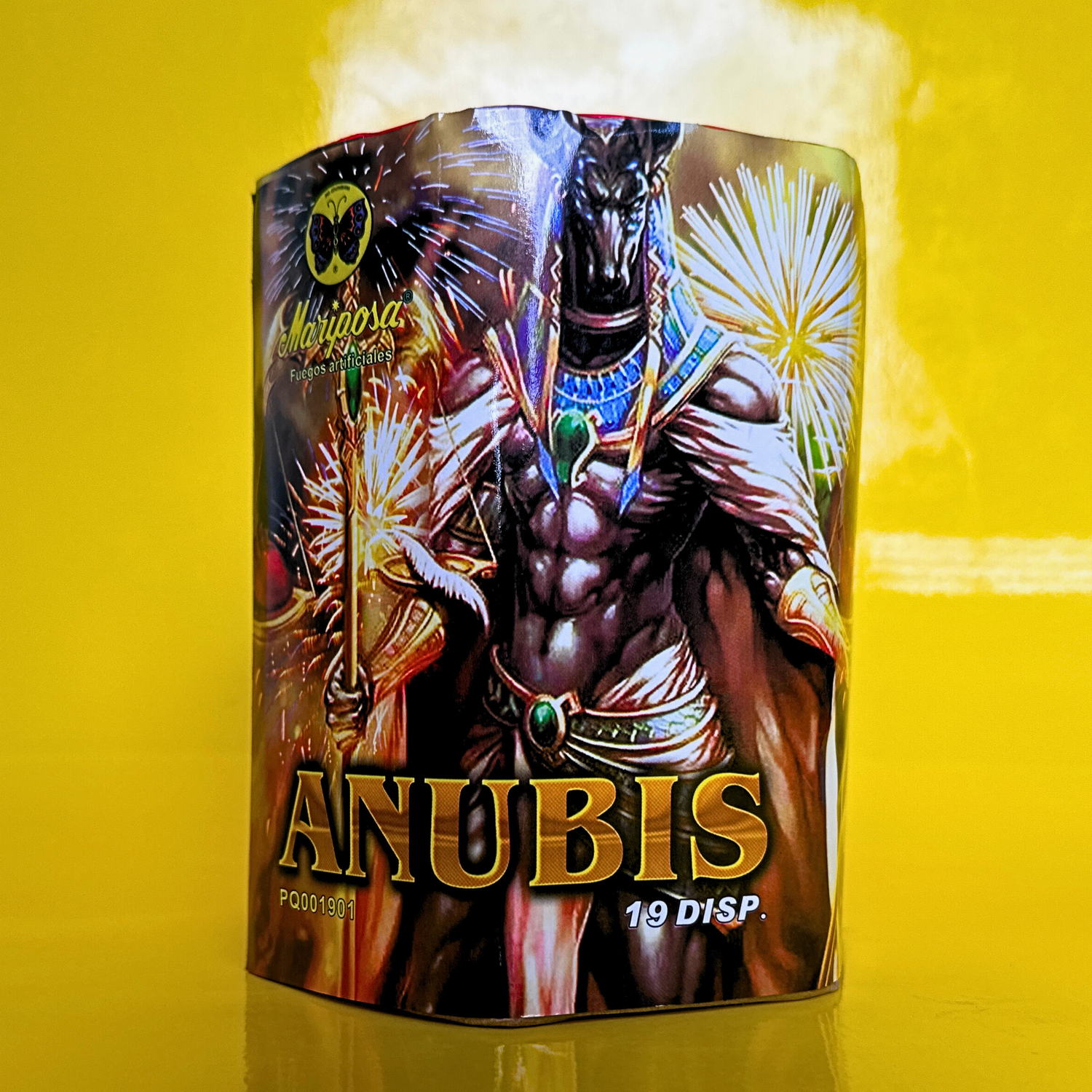 NASUS