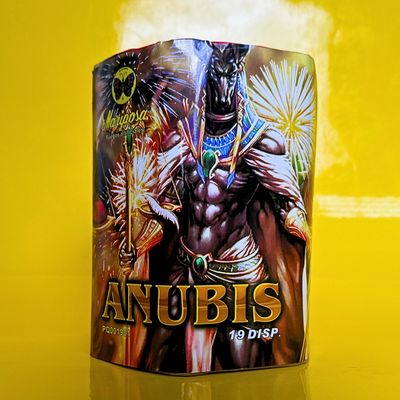 NASUS
