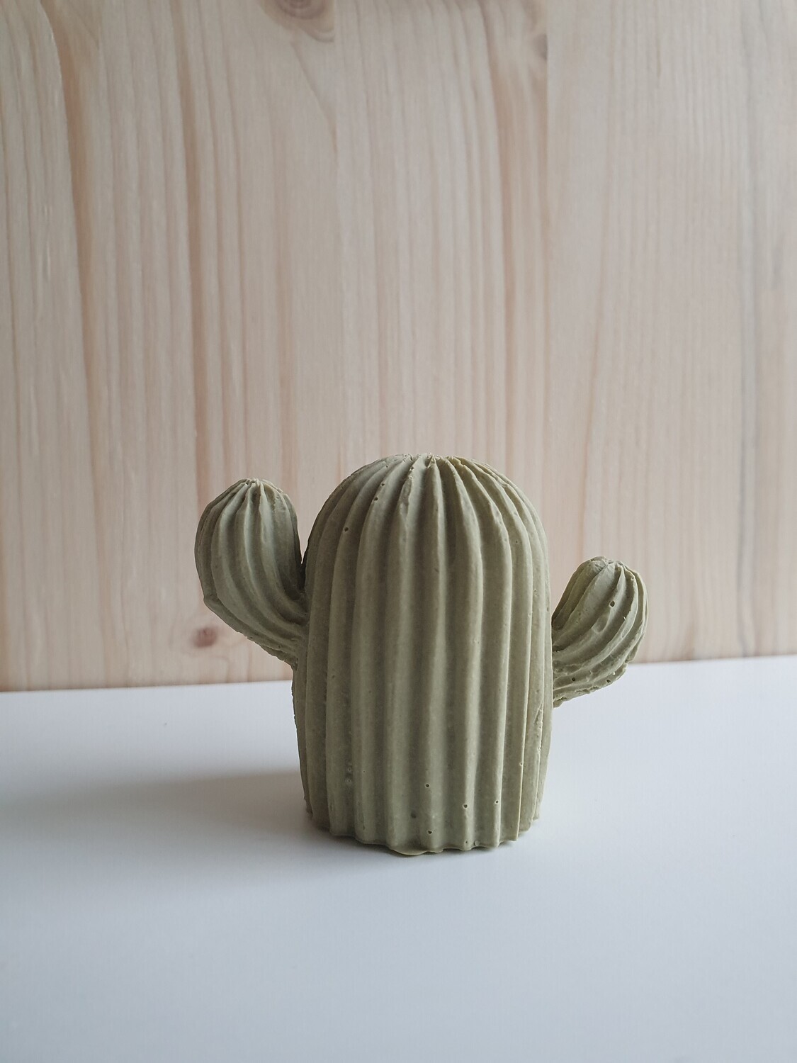 Cactus S