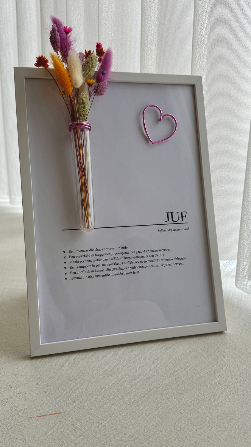 Kader A4 - juf
