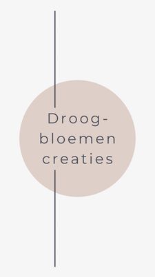 Droogbloemencreaties