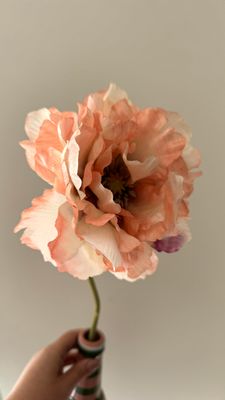 Lemonade &amp; Peony (INCL. vaas)
