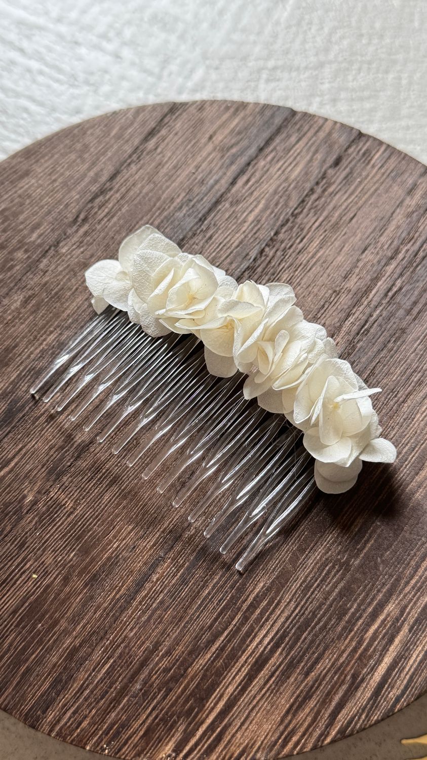 Haarklem large hortensia