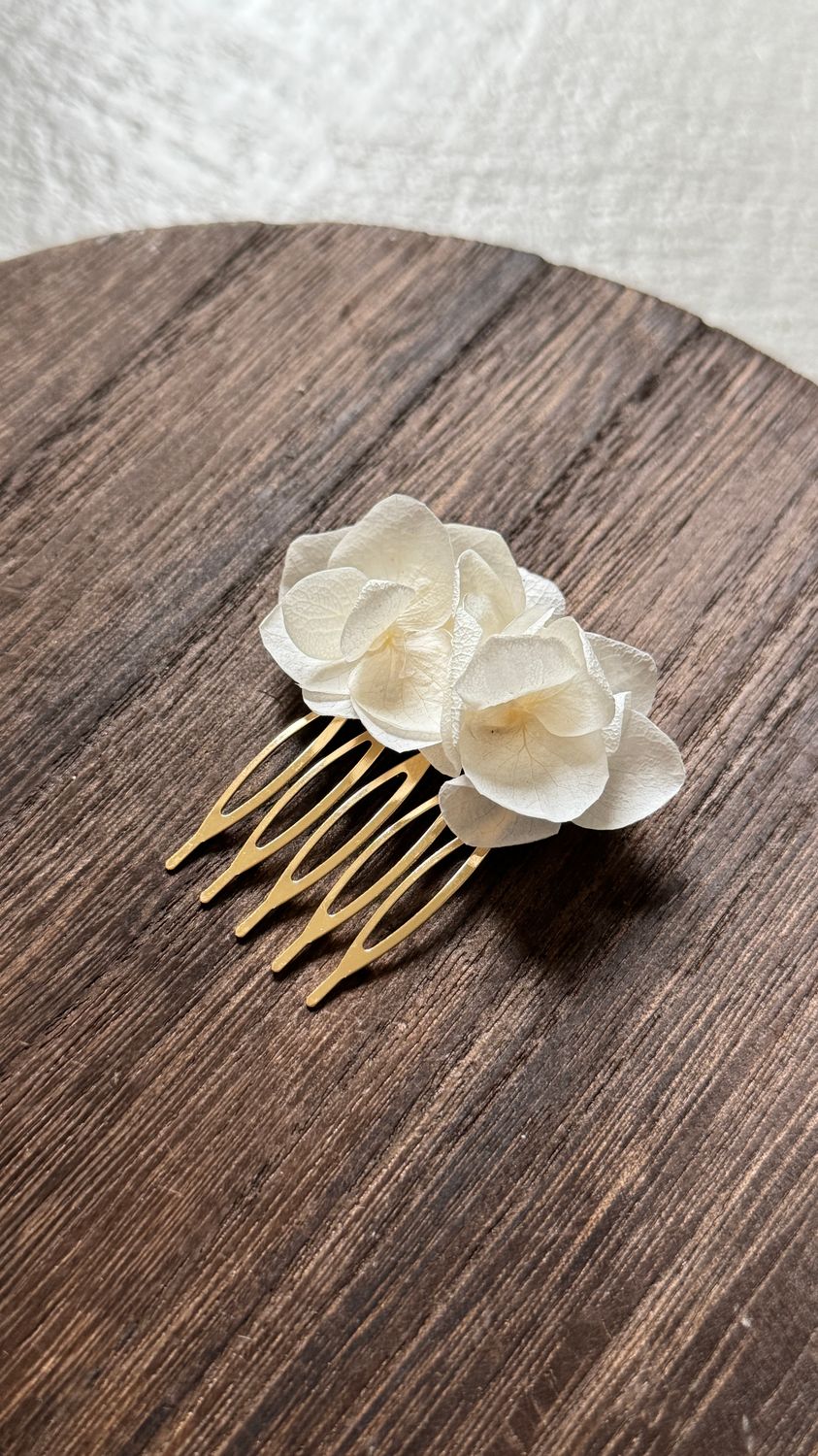 Haarklem smal hortensia