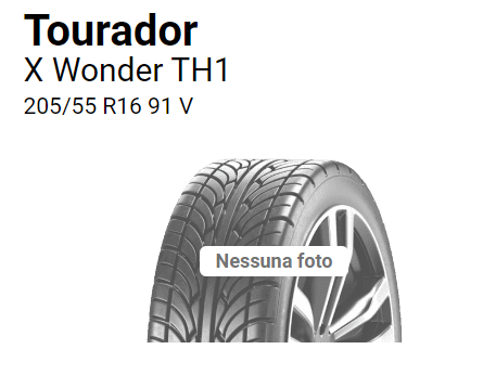 Tourador X Wonder TH1 205/55 R16 91 V