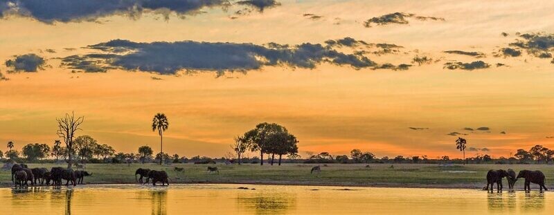Botswana 7-night special featuring Victoria Falls