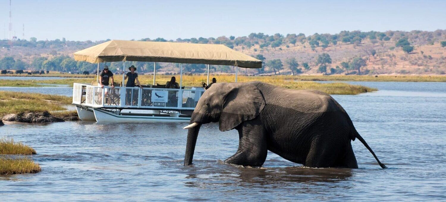 Botswana 14-night special featuring Victoria Falls