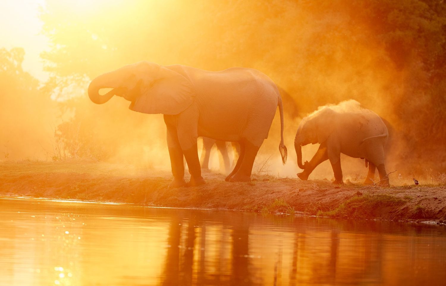 Zambia 10 nights (Flatdogs, Baines & Chundukwa)