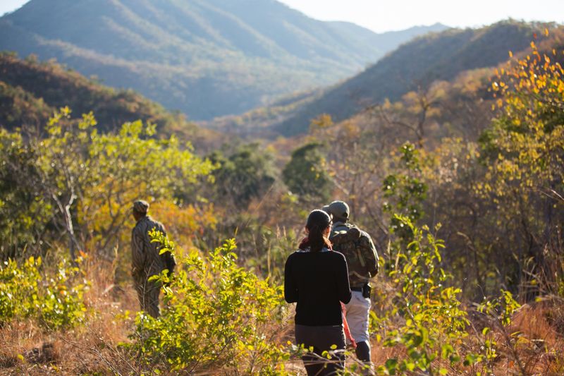 Zambia 10 Nights, Kafunta, Chongwe and Waterberry
