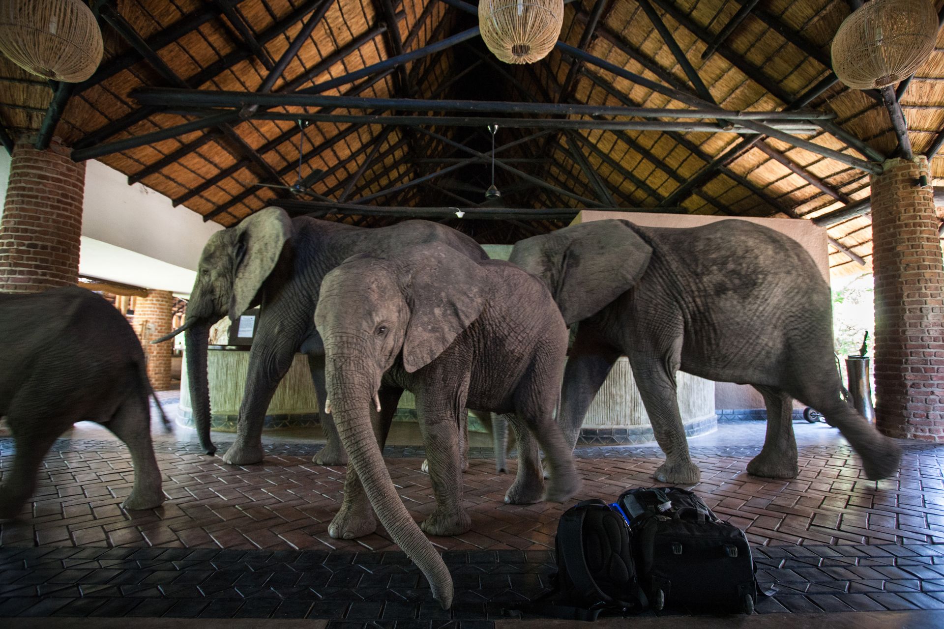 Zambia 10 Nights, Kafunta, Chongwe and Waterberry