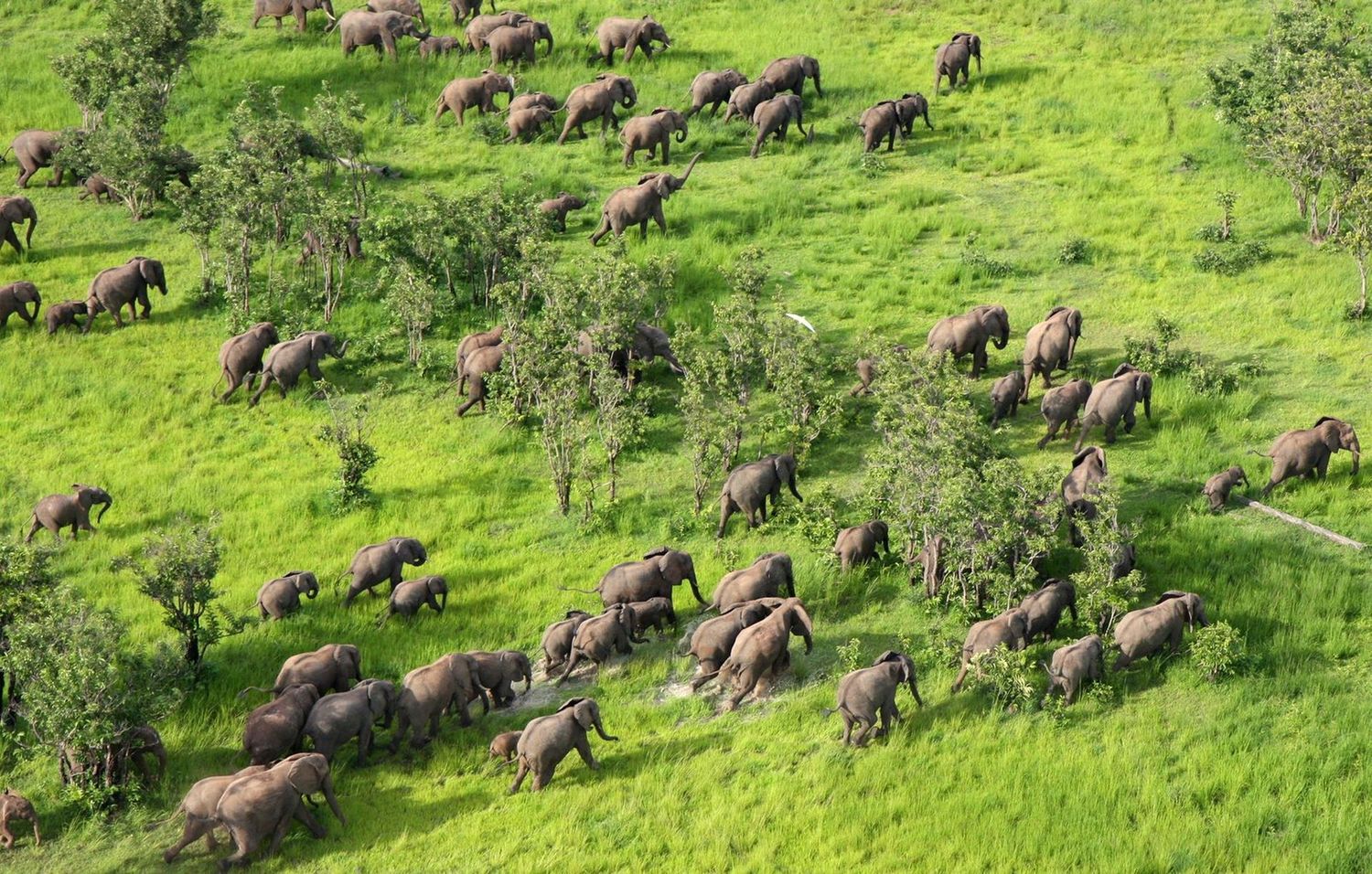 Zambia 10 Nights Zambezi Grande, Chikunto & Chundukwa