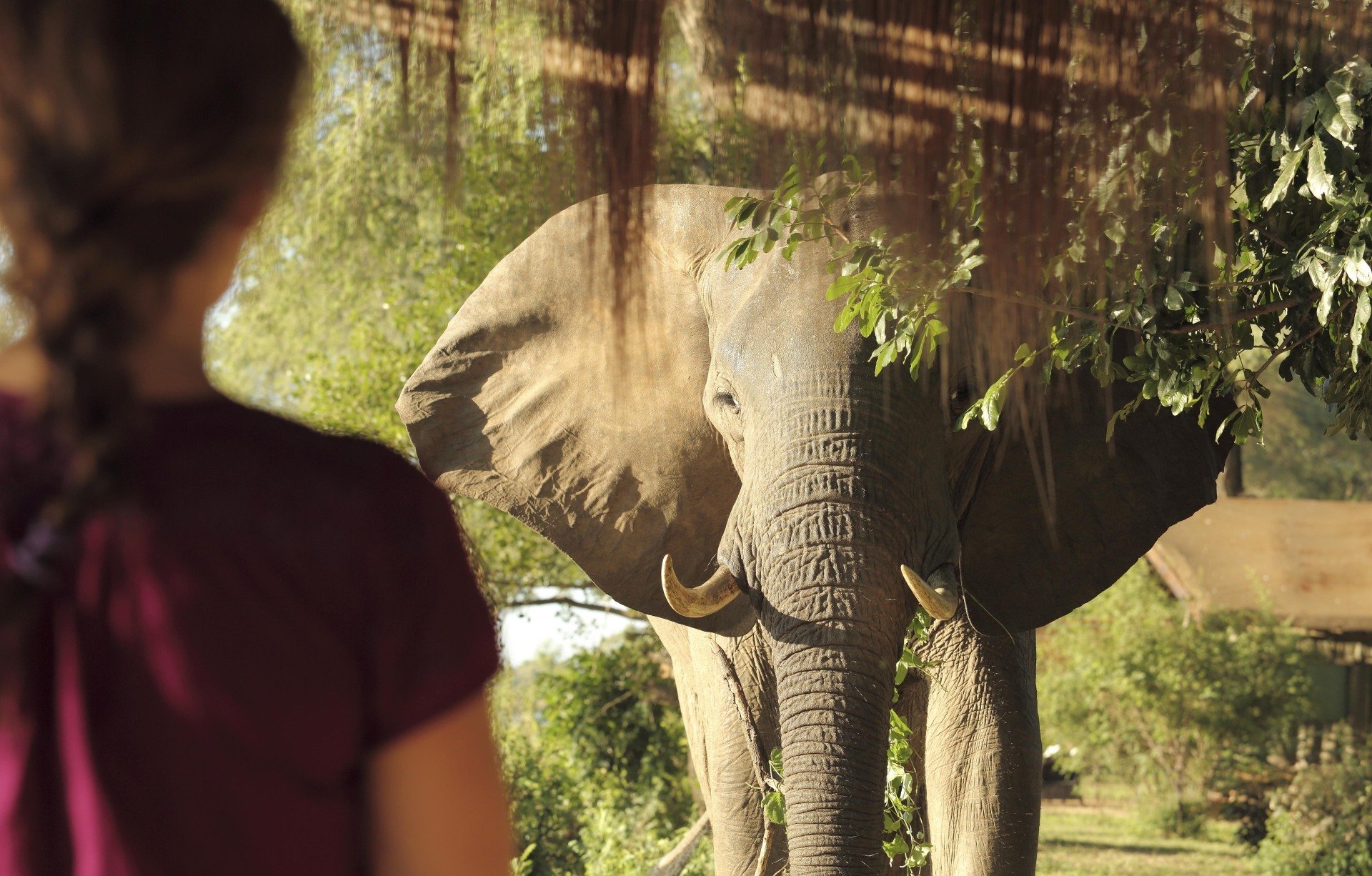 Zambia 12 Nights - Baines, Kafunta & Blue Zebra
