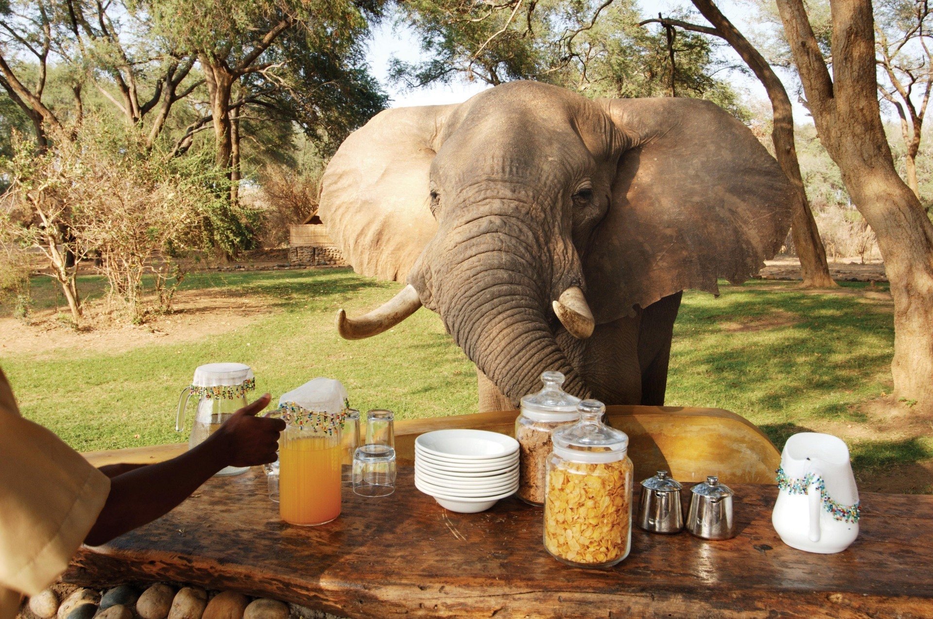 Zambia 12 Nights - Ila Lodge, Chisa Busanga & Shawa Luangwa Camp