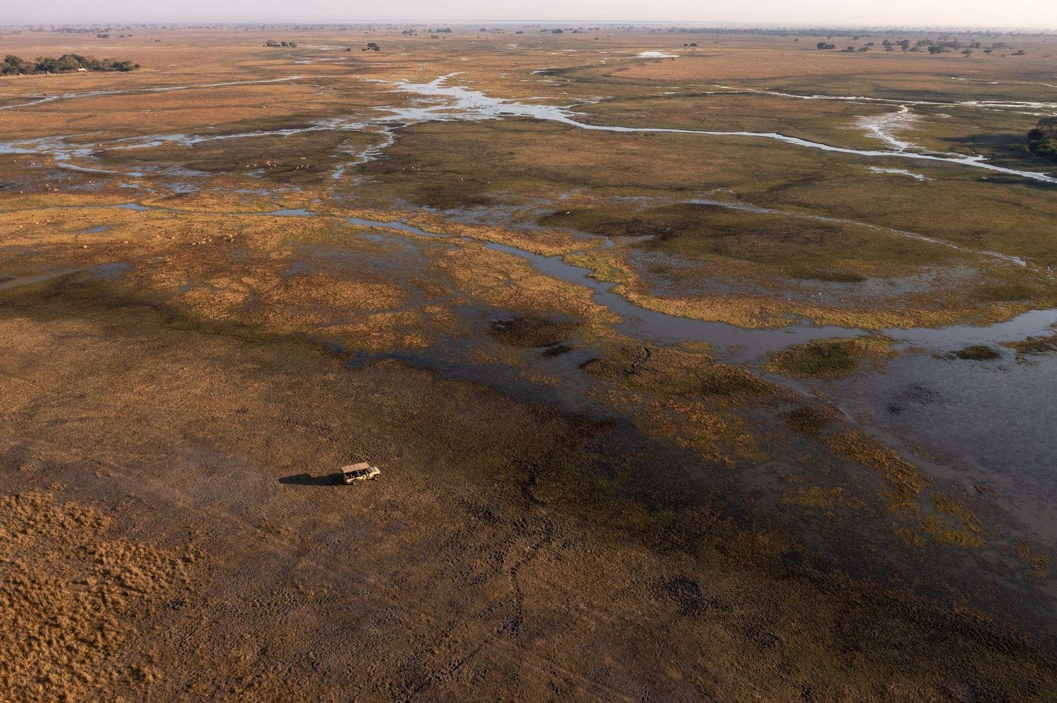 Zambia 12 Nights Nkonzi, Tusk & Mane, Jeffery & McKeith