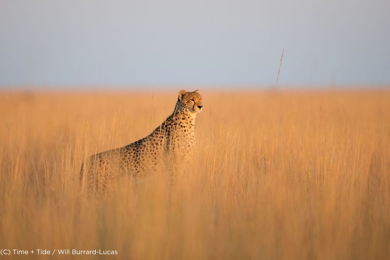 Zambia Green Safaris Circuit (2)