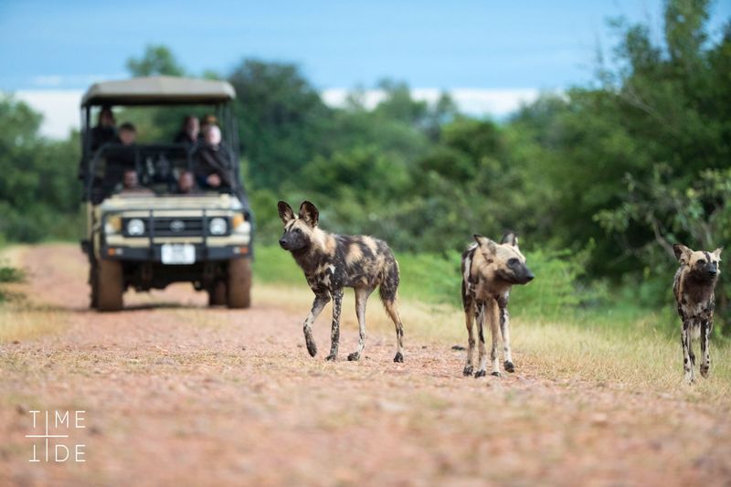 Zambia Family Tour Option 2