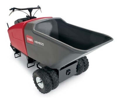 Georgia Buggy's