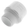 Spears 3/4" Male Adp SxT (436-007)