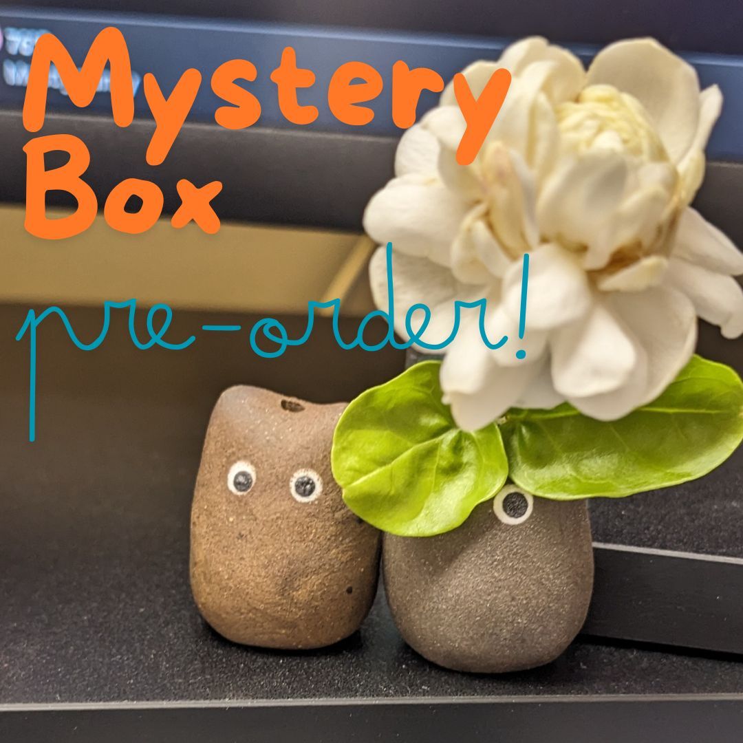 PREORDER SPECIAL! June Mystery Box! ($250 Retail Value) - Order thru 6/22/25!