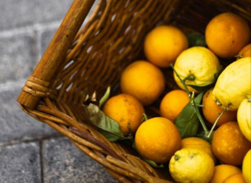 8kg Mallorca-Orangen & 2kg Mallorca-Zitronen - Lieferung November/ Dezember 2025