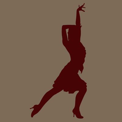 SALSA - BACHATA LADYSYLE &amp; BODY MOVEMENT KURS Start: Fr. 16.01.2026, 18.15 - 19.30Uhr