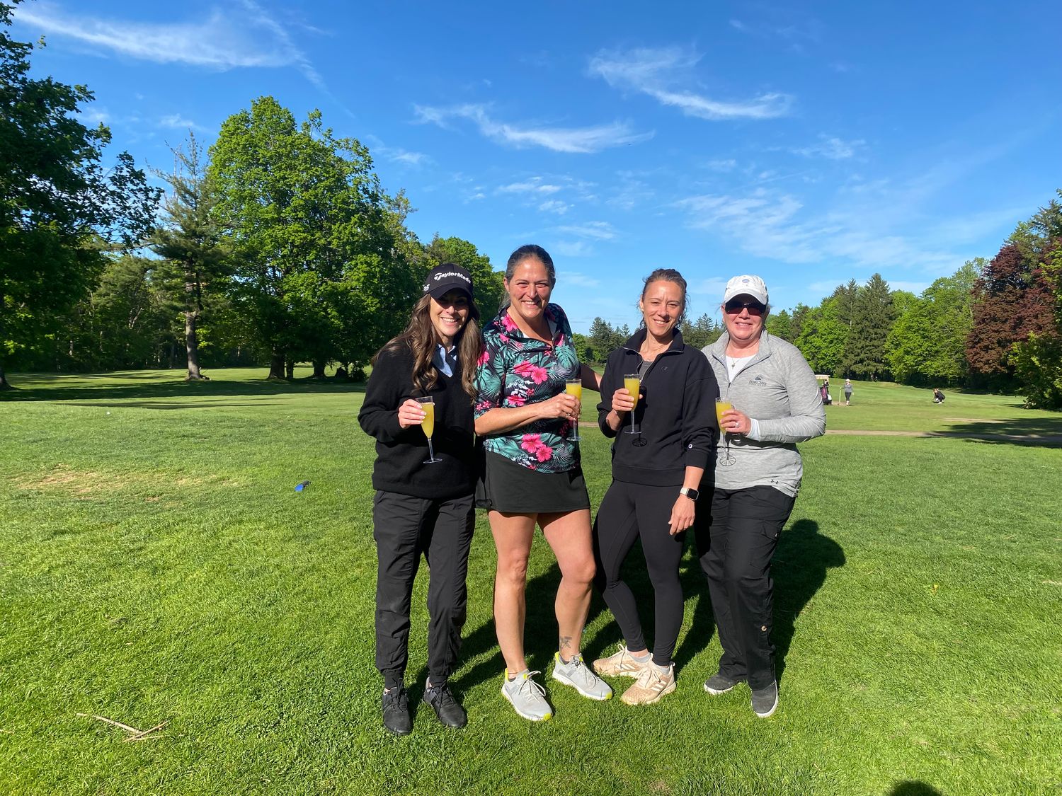 Ladies League Registration Fee (2026)