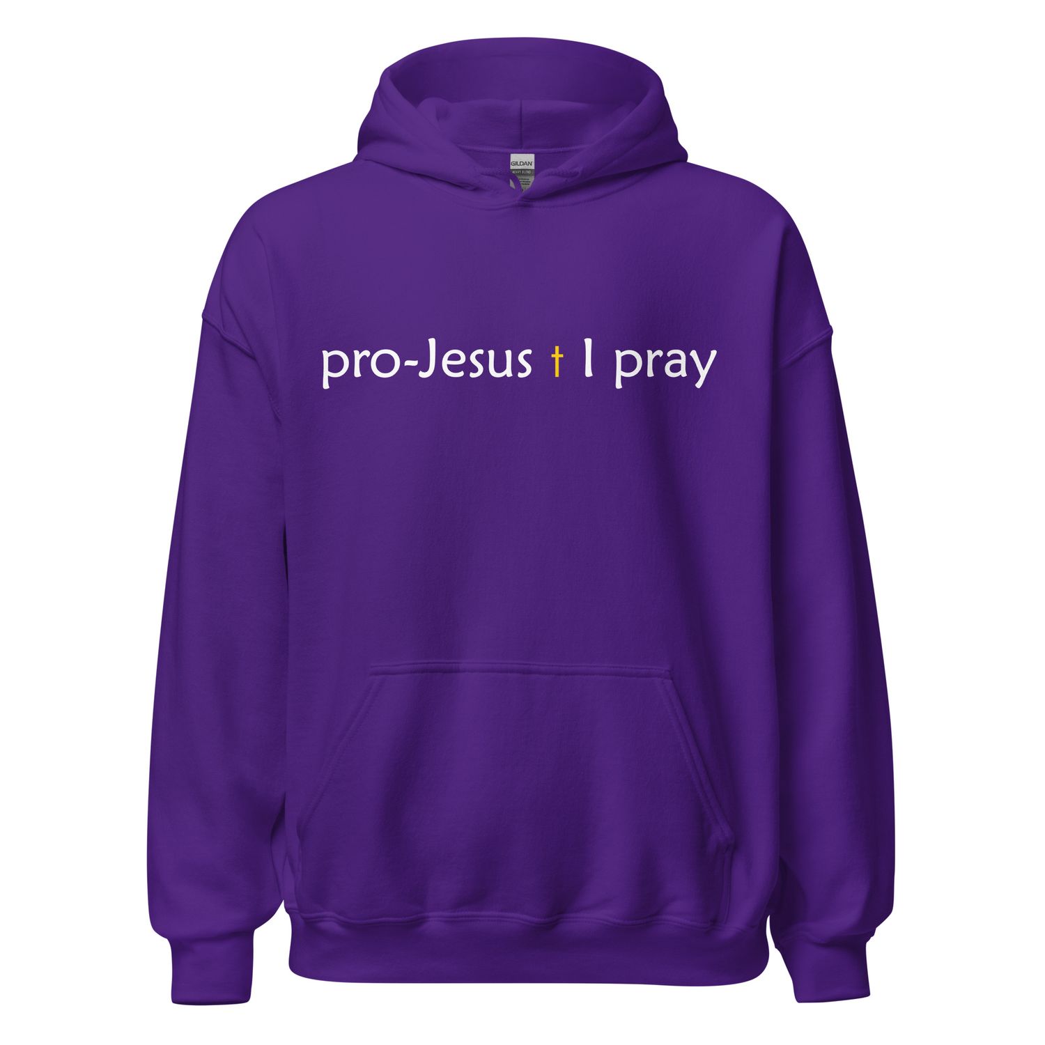 PJIP pullover Hoodie