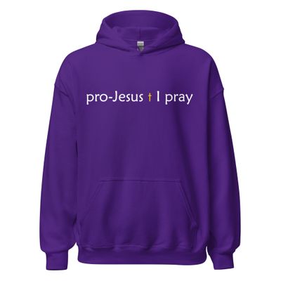 PJIP pullover Hoodie