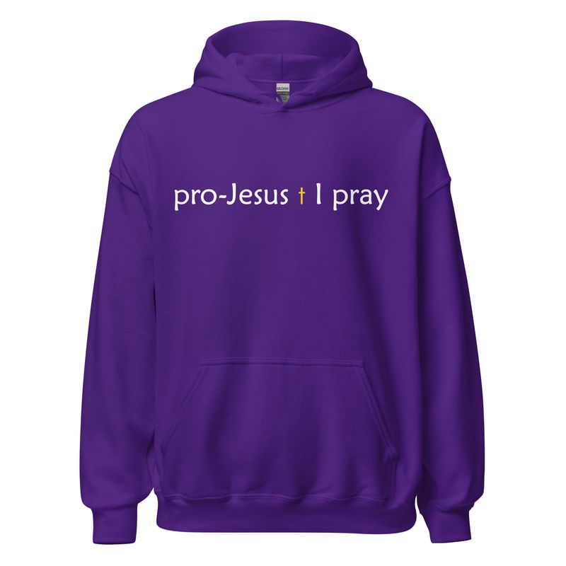 PJIP pullover Hoodie