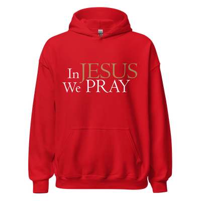 PJIP IJWP pullover Hoodie