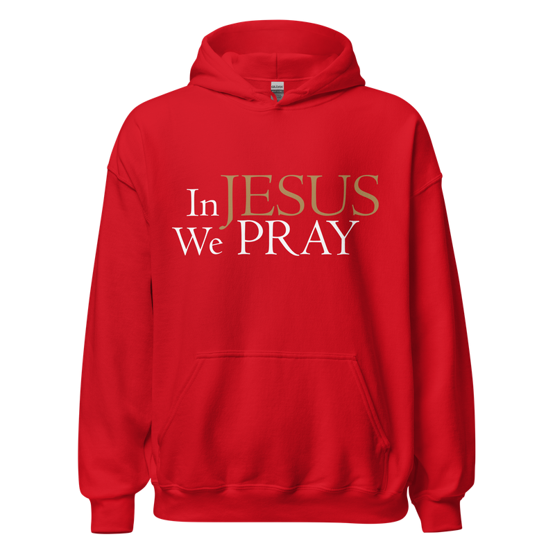 PJIP IJWP pullover Hoodie