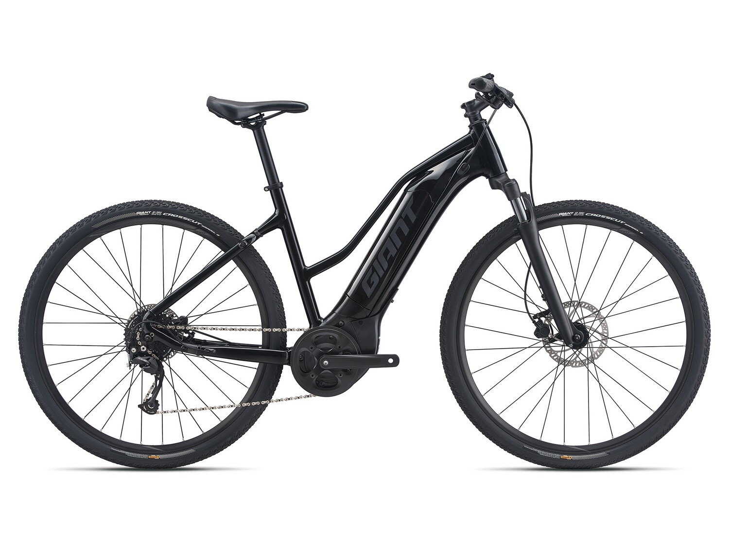 2021 Giant Roam E+ 