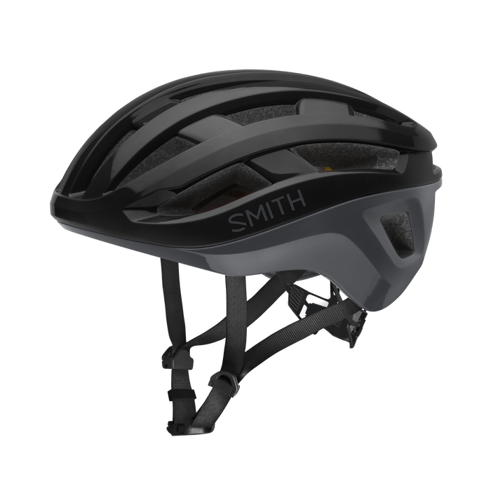 Casque Smith Persist MIPS -